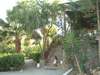 Calypso Hotel 